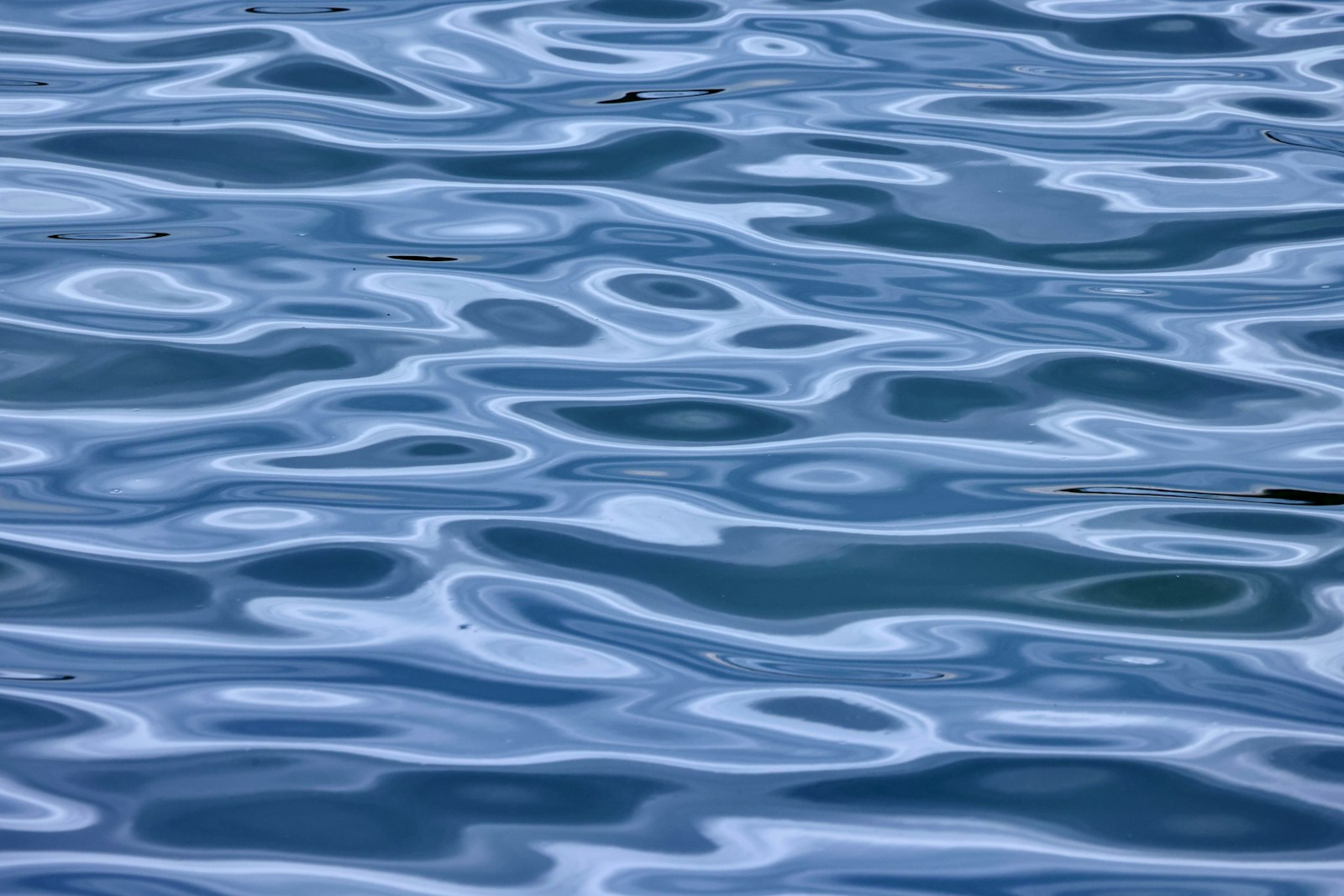 Sunlight makes soft, overlapping patterns on blue water.