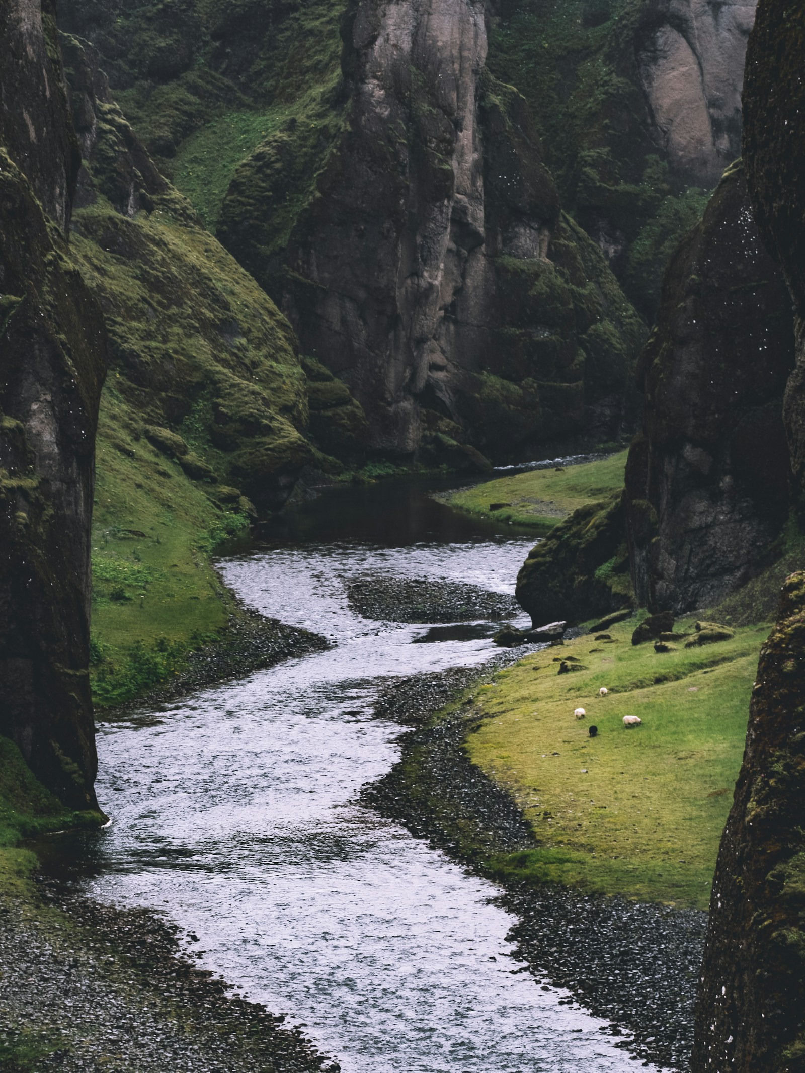 A river curves between moss-covered canyon walls and green banks.