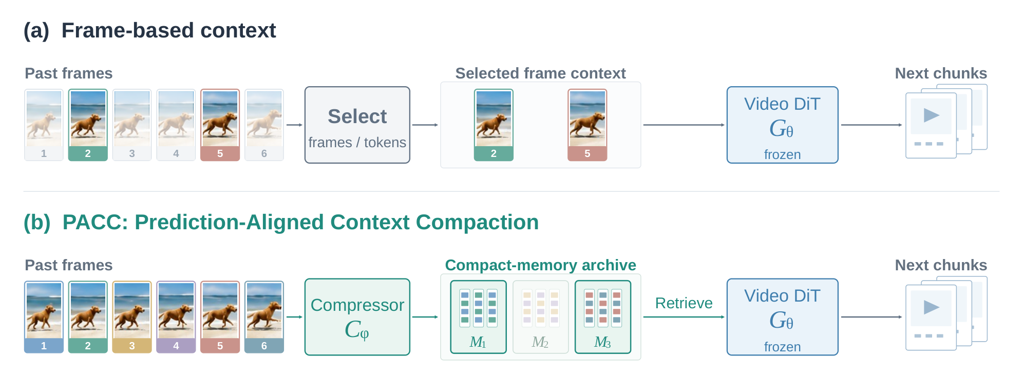 PACC trains a memory compressor by matching a frozen video generator conditioned on compressed memory to the same generator with full history