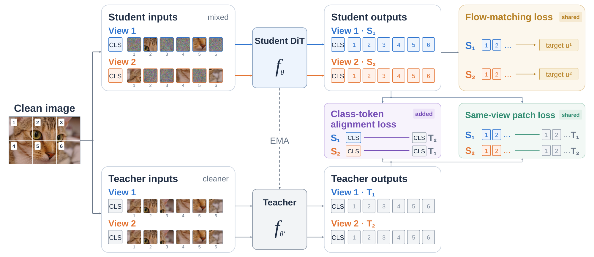 Training diagram aligning student and teacher class tokens across two independently noised diffusion views
